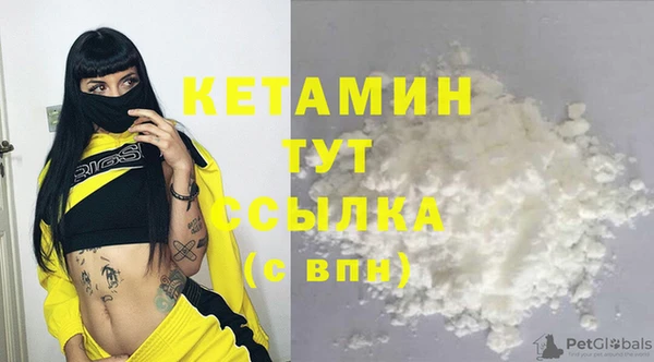 крисы Горняк