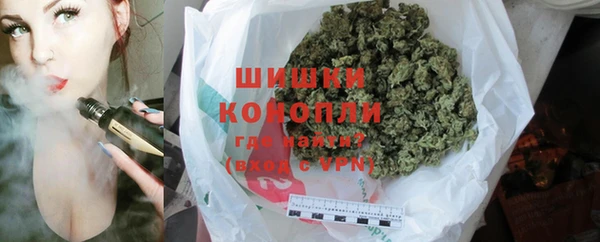крисы Горняк