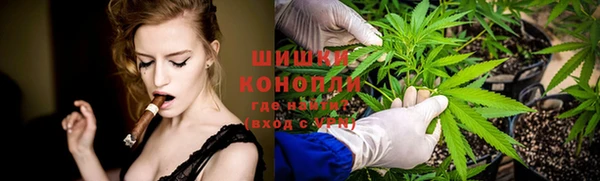 крисы Горняк