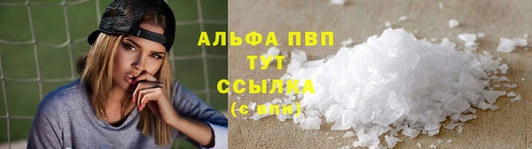 крисы Горняк