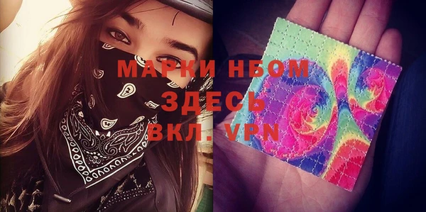 крисы Горняк