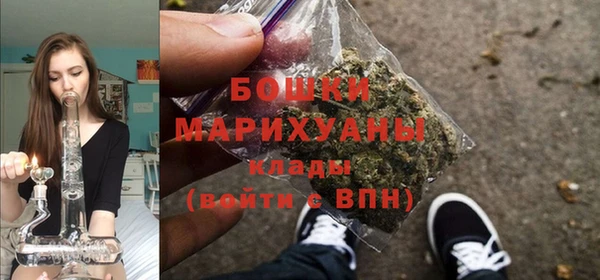 крисы Горняк
