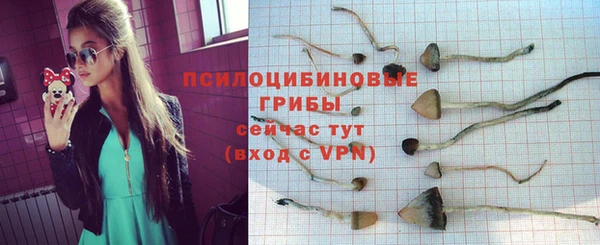 крисы Горняк