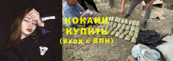 крисы Горняк