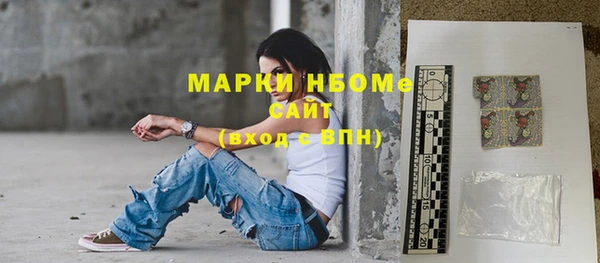 крисы Горняк